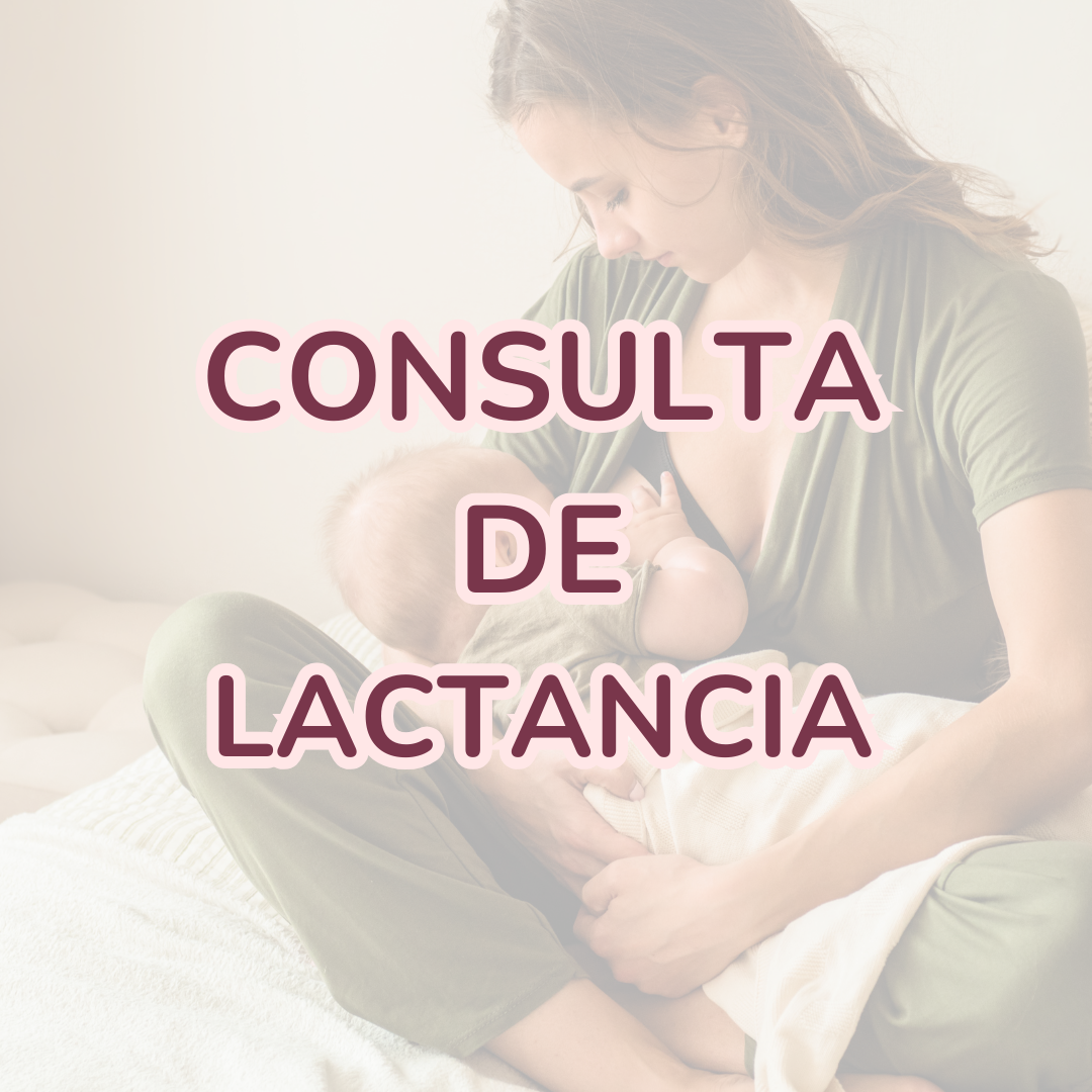 Consulta de Lactancia