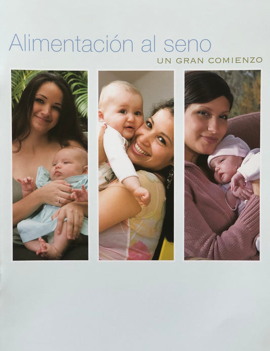 Alimentación al seno (libro)