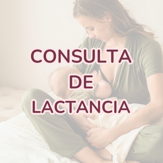 Consulta de Lactancia